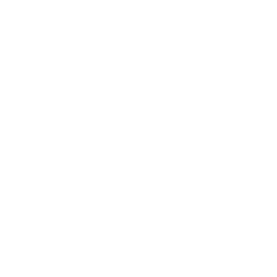 SBS 9