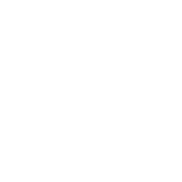 TRT 1